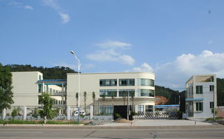 匠心獨(dú)運(yùn)，木藝生輝 探訪高要市白土鎮(zhèn)潤(rùn)和工藝品加工廠與鼎龍木業(yè)